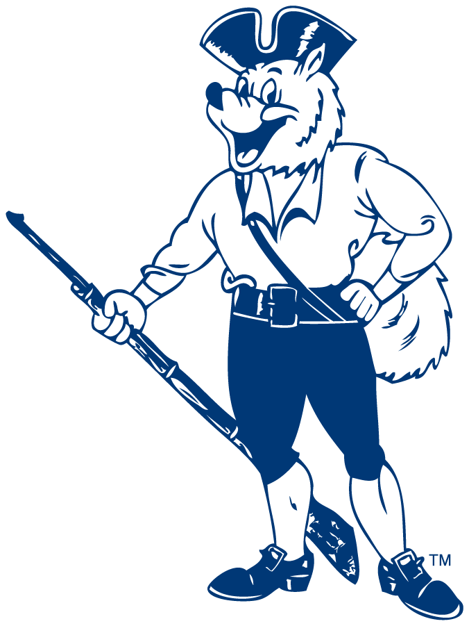 UConn Huskies 1960-1970 Primary Logo DIY iron on transfer (heat transfer)